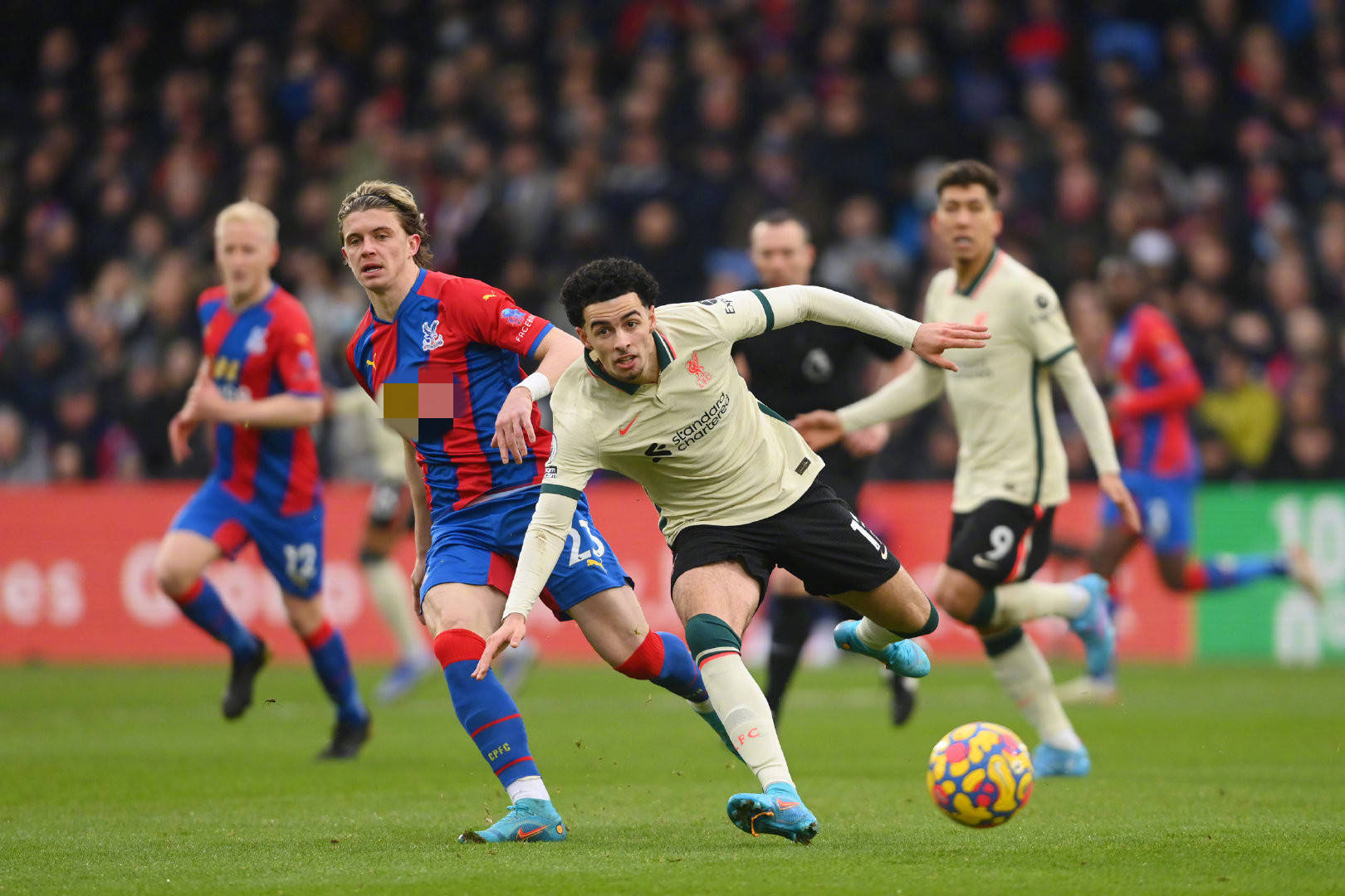 非凡的天赋 非凡的天赋